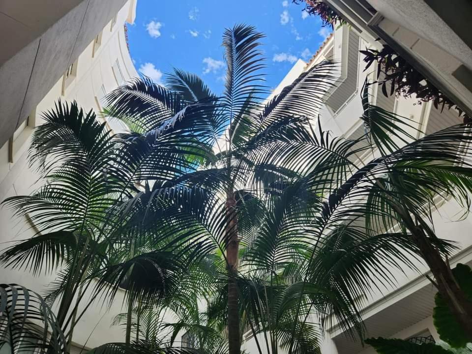 Apartment Beachfront Accommodation إِستيبونا المظهر الخارجي الصورة